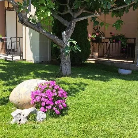 Sorrento Sole Mare Apartment *